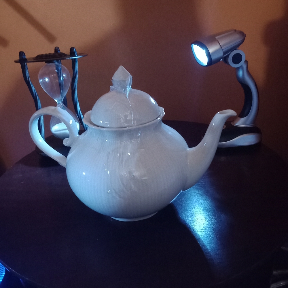 This IS A BEAUTIFUL KEISER TEAPOT